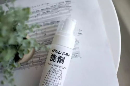 日本羽絨服干洗劑 輕松一噴，污漬瞬間消失，干洗新革命